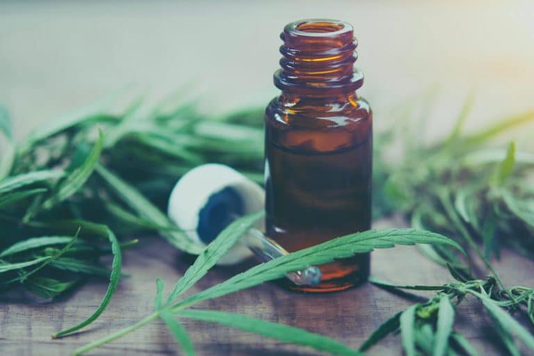 le cannabis à usage médical