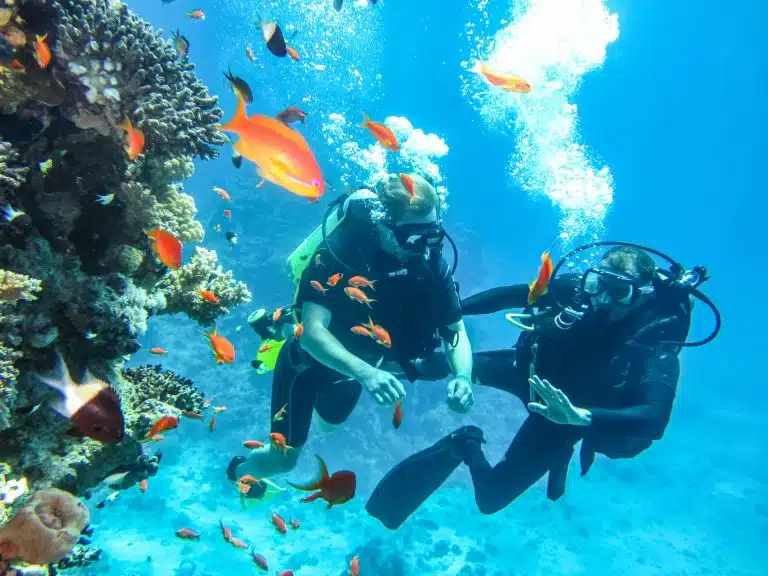 plongée sous marine